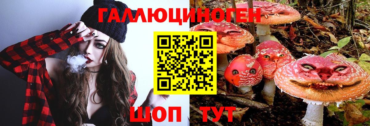 Псилоцибиновые грибы MAGIC MUSHROOMS Саяногорск